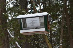 OFNC feeder at the Jack Pine Trail