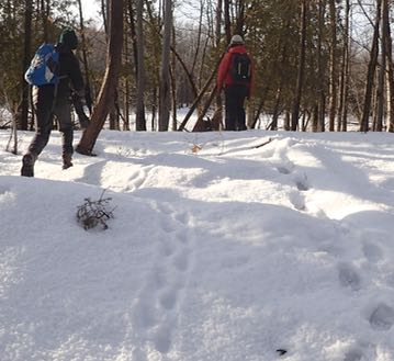 Photo of Macoun Club members following Porcupine tracks in the snow