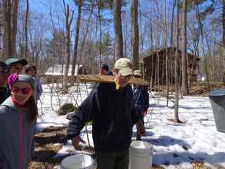 Photo of Rob Lee carrying maple sap with a yoke
