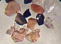 Photo of sand grains under microscope