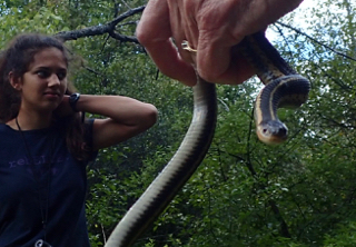 Photo of Macoun Field Club leader holding Garter Snake