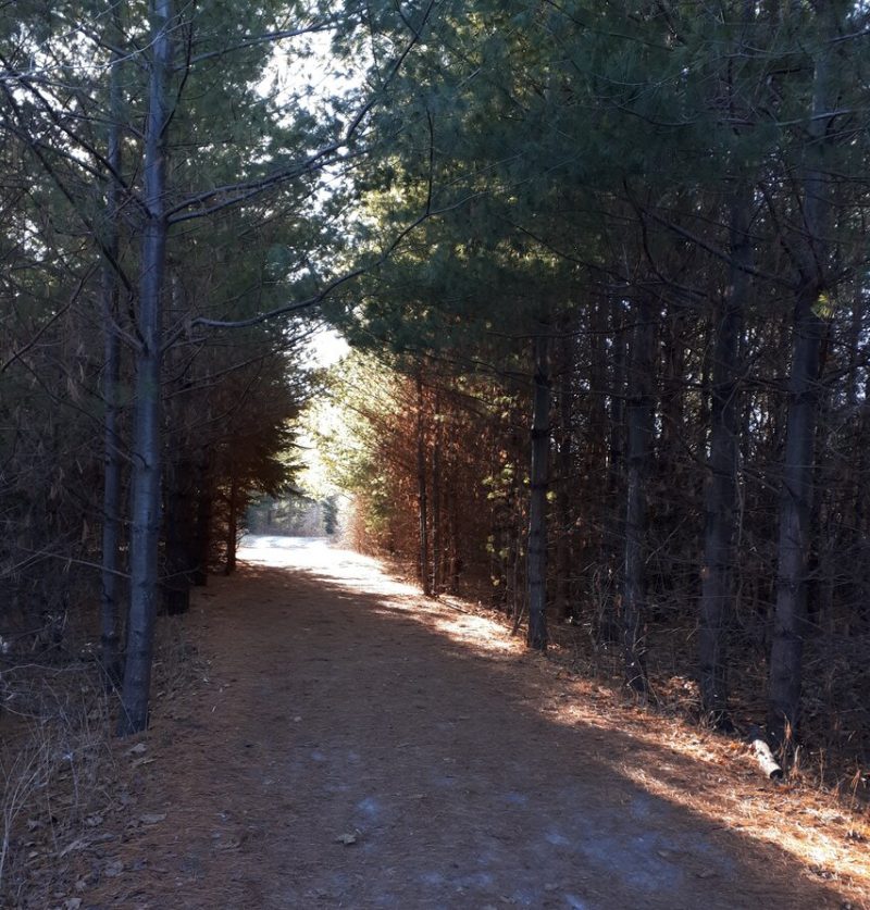 Greens Creek trail 63 and beyond OFNC