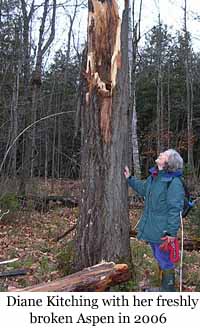 Photo of Diane Kitching and the stub of her lightning-killed Study Tree