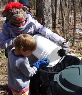 Photo of Macoun Club members pouring a pail of freshly collected Sugar Maple sap into a barrel