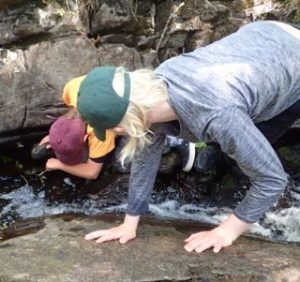 Photo of Macoun Club members trying to tease crayfish out of a rocky stream retreat