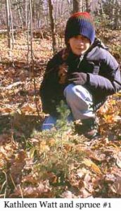 Photo o Macoun Club member Kathleen Watt with her first Study Tree, a seedling White Spruce
