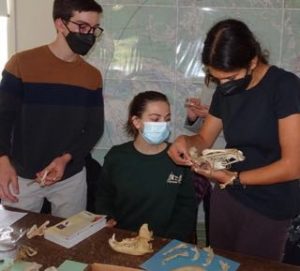 Photo of Macoun Club members examining our bone and skull collection