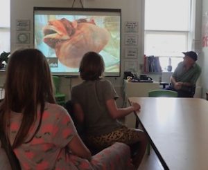 Photo of Macoun Club members with Mike Leveille, viewing a video showing an angler fish specimen