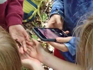 Photo of many Macoun Club hands reaching for salamander