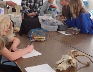 Photo of Macoun Club members selecting specimens to sketch