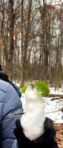 Photo of miniature snowman with green leaves as hat