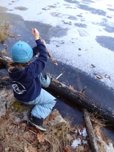 Photo of child trying to poke a hole in pond ice with a stick