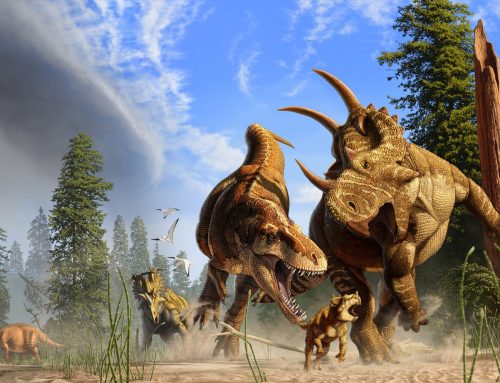 Editor’s Synopsis of CFN 138(4): Dinosaurs!