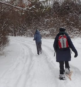 Photo of jogger and snowshoer sharing a multi-use trail on a Macoun Club field trip