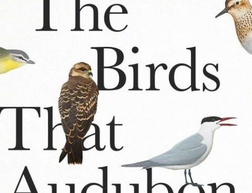 OFNC Book Club: Revisiting Legacies