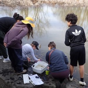 Photo of Macoun Club group sampling aquatic life in Macoun Marsh, Ottawa