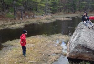 Photo of Macoun Club member stranded on a floating sedge mat
