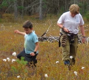 Photo of two Macoun Club members among the cottongrass of a floating bog