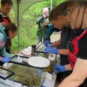 Photo of Macoun Club members and Museum of Nature staff at a fish-identification field station.