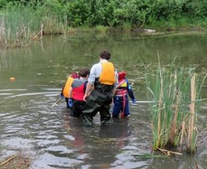 Photo of Macoun Club members and Museum-of-Nature staff wading into a pond