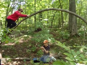 Photo of Macoun Club member climbing arched tree bent over another boy