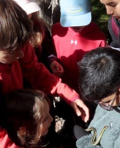 Photo of Macoun Club members crowded around a boy with a Garter Snake on his chest